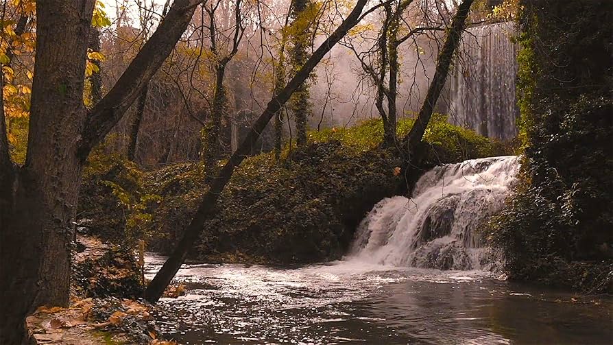 Amazon.com: Relaxing Waterfall DVD - Fall Cascades